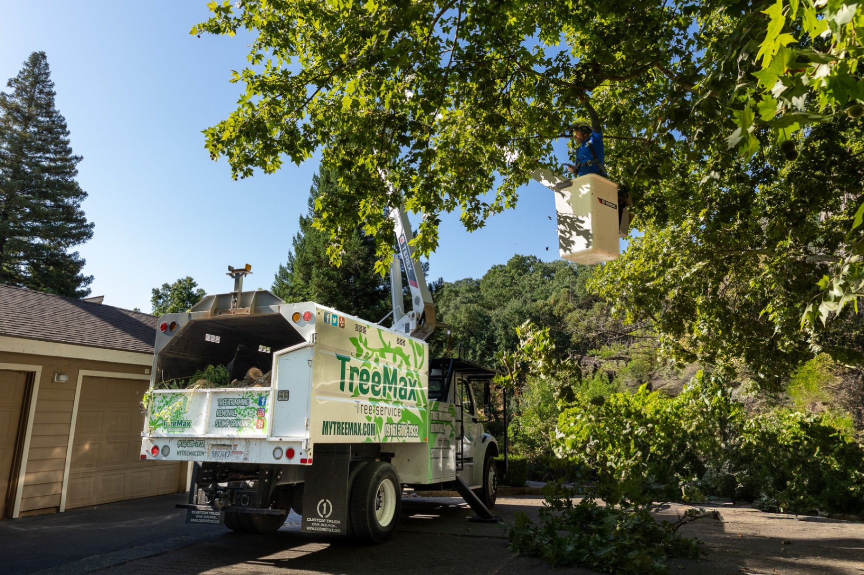 TreeMax team of tree care professionals