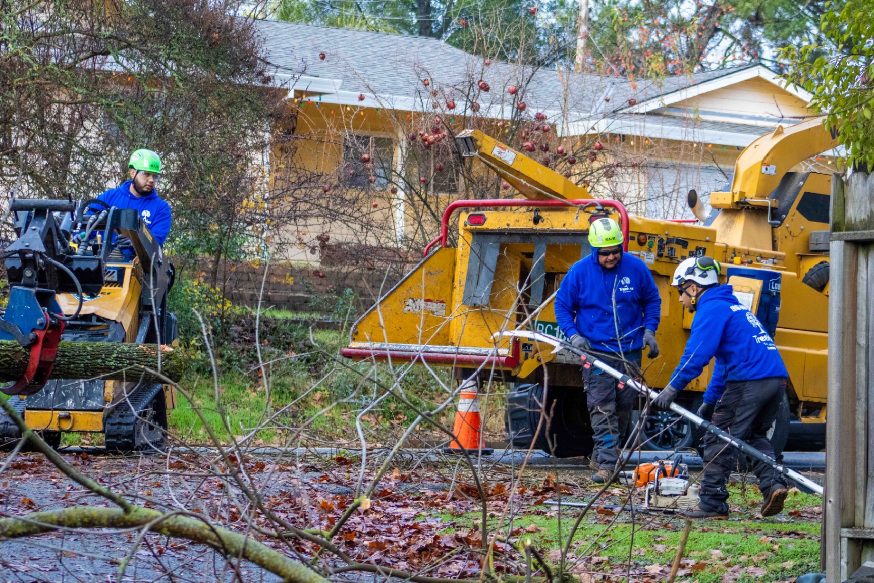 TreeMax crew at work